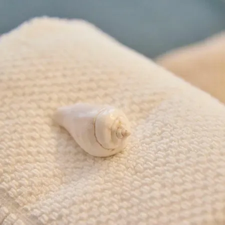 Daire Modern Marques